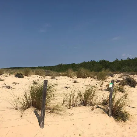 Tres Belle Avec Piscine Au Calme De La Foret *